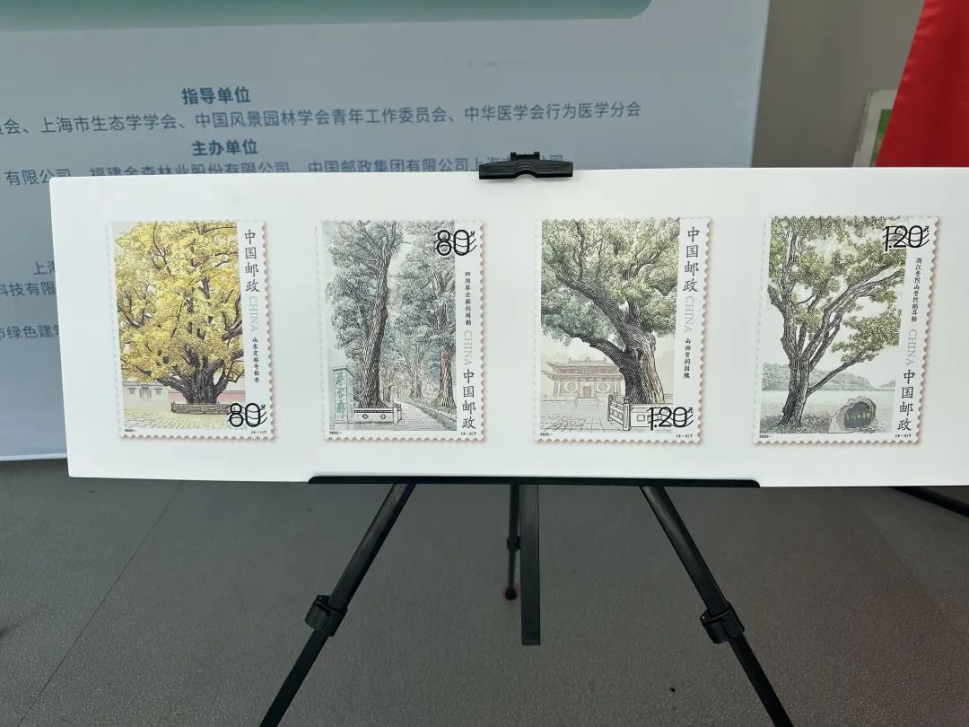 全国生态日来了！福建金森携手举办上海“山海同普·杏好有你”活动