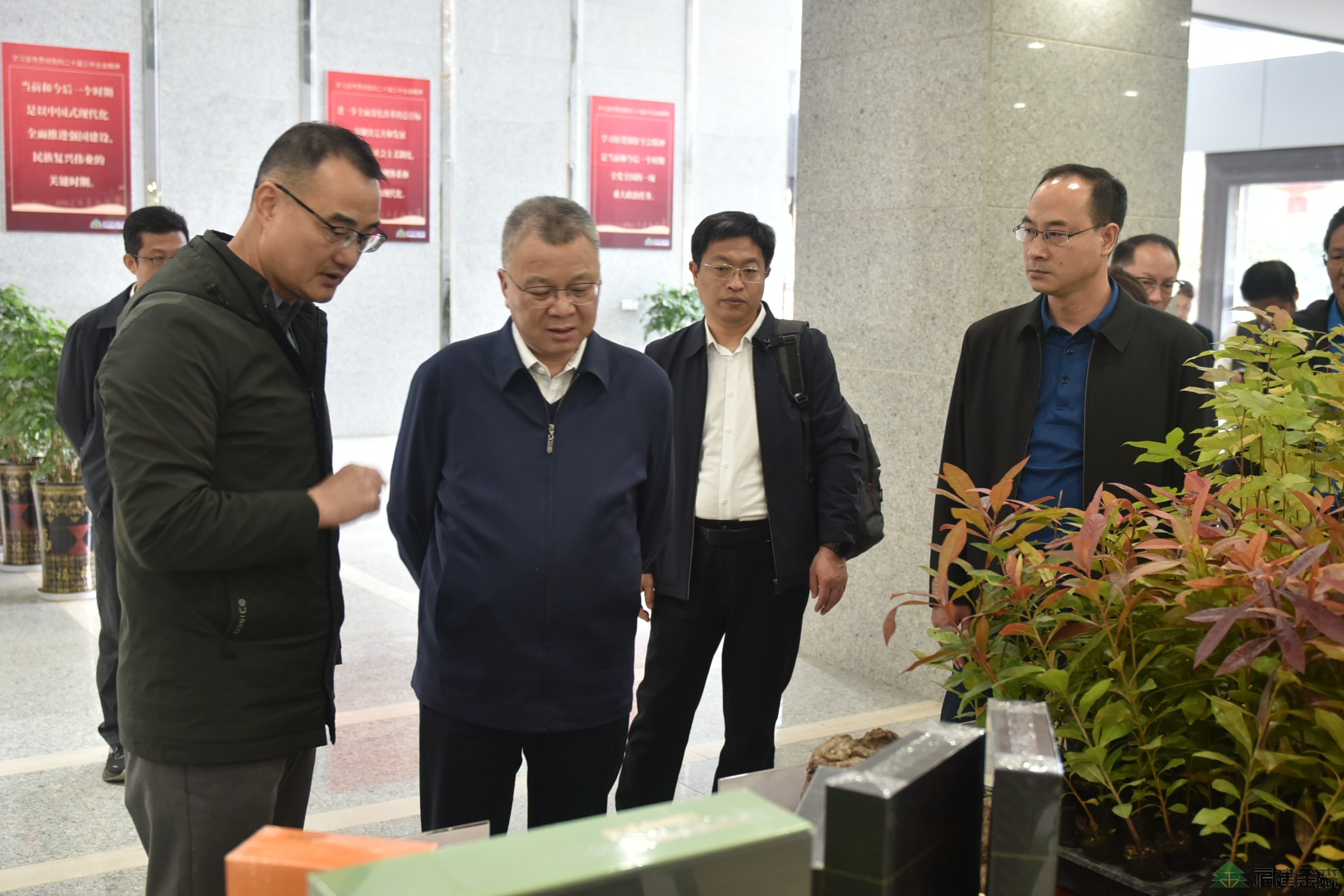 南京林业大学至福建金森调研