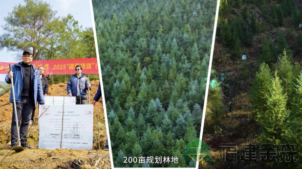 全国首个!!!“沪明杏林”医疗碳汇林项目成功启动 福建金森携手多方共推医疗与生态融合发展新范式 全国首个!!!“沪明杏林”医疗碳汇林项目成功启动 福建金森携手多方共推医疗与生态融合发展新范式